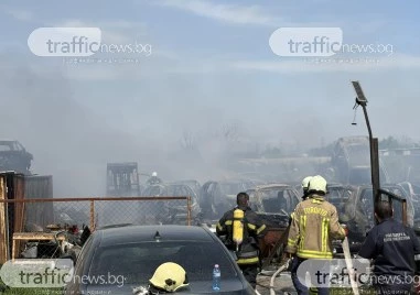 Земеделец запалил сухи треви в нива - пламъците обхванали моргата на Околовръстното ВИДЕО