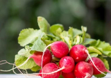 Сезонни плодове и зеленчуци през пролетта – какво да ядем и кои да засилим