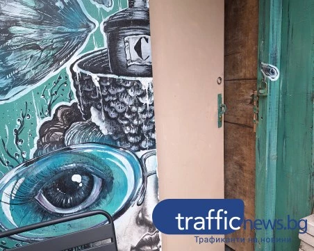 Новородено коте бедства в заключено мазе в Пловдив, институциите безсилни