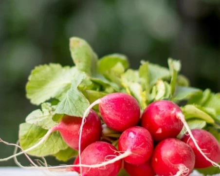 Сезонни плодове и зеленчуци през пролетта – какво да ядем и кои да засилим