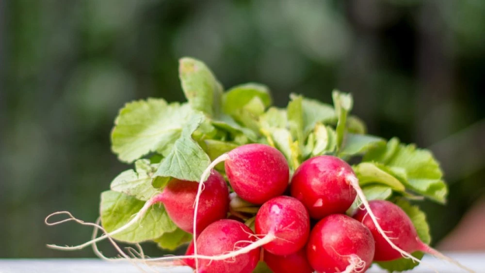 Сезонни плодове и зеленчуци през пролетта – какво да ядем и кои да засилим
