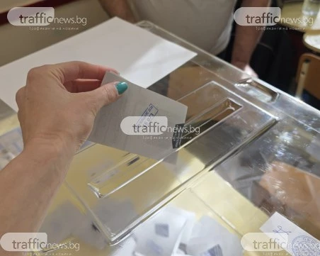 Близо 12% е избирателната активност в Пловдив област към 11:00 часа, Лъки води класацията