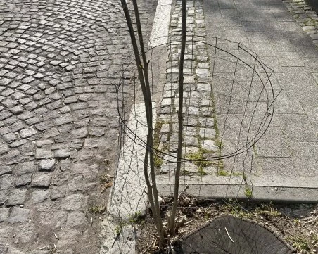 Две години след сечта на 