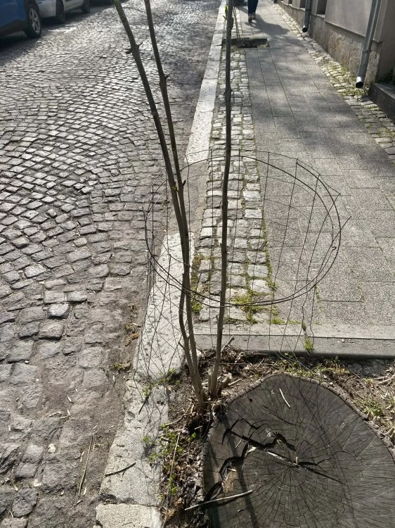 Две години след сечта на 