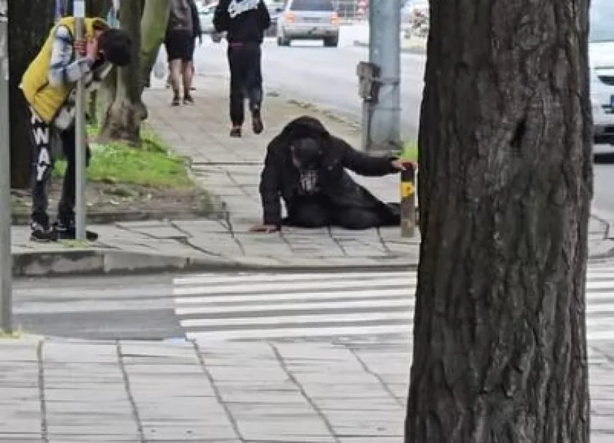 Нова зомби сцена в Пловдив: Мъже замръзнаха насред улица