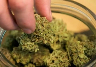 От началото на годината в Пловдив: Хванати са близо 15 килограма наркотици