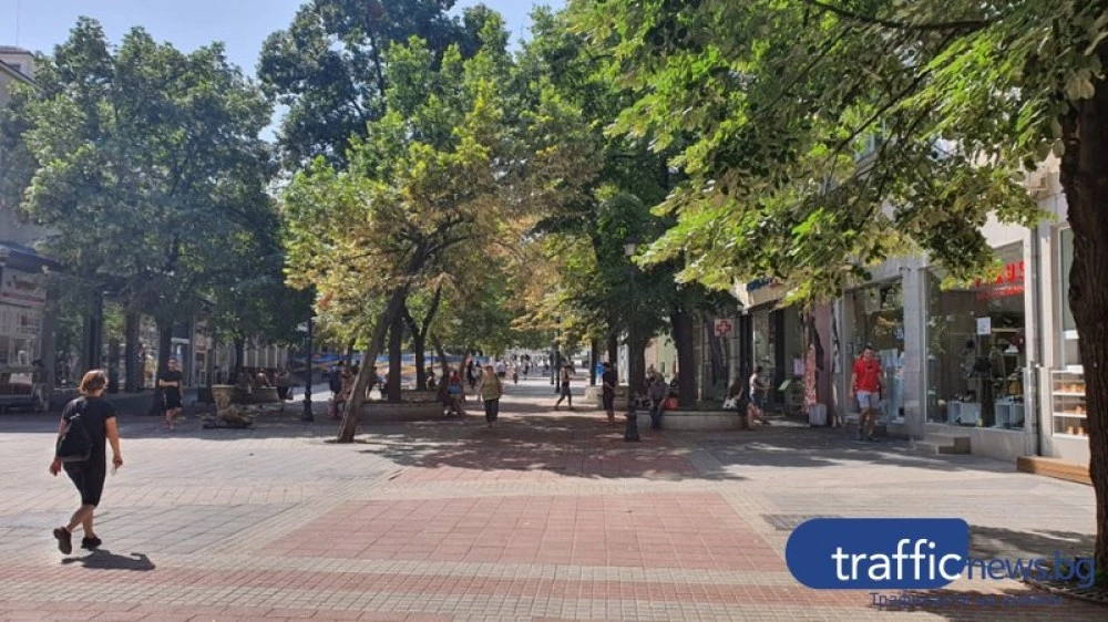 Пловдив се радва на топло и слънчево време днес