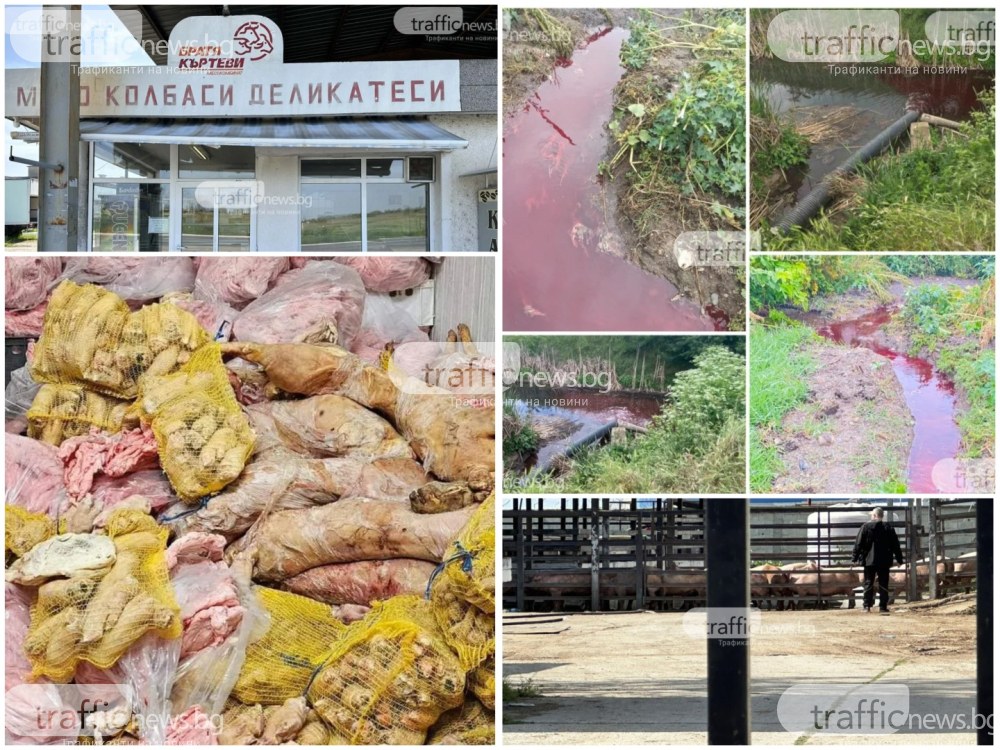 РИОСВ за месокомбината на братя Къртеви: Съставили сме 4 акта за кървавите води, изпускани от базата