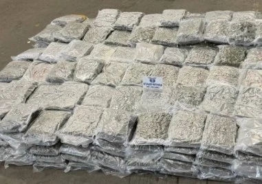 Митничари задържаха близо 363 кг марихуана на Лесово