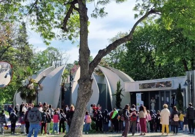 На Млада синя земя:  Малчугани рисуват в подкрепа на детското отделение в УМБАЛ Св. Георги