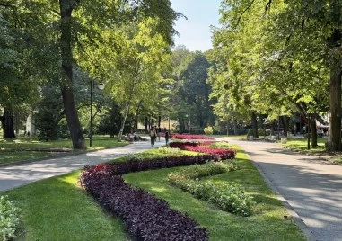 Слънчево и топло ще е днес в Пловдив