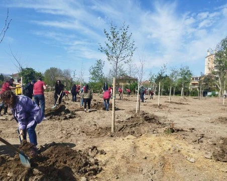 Повече от 1000 засадени дървета в Пловдив след края на пролетната залесителна кампания