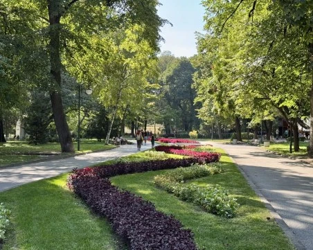 Слънчево и топло ще е днес в Пловдив
