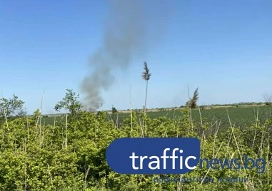 Пожар пламна на Околовръстното шосе на Пловдив, една пожарна е на място