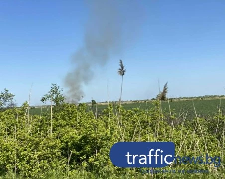 Пожар пламна на Околовръстното шосе на Пловдив, една пожарна е на място