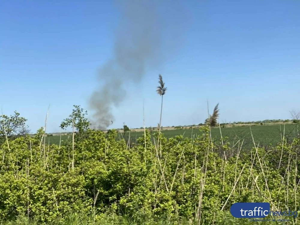 Пожар пламна на Околовръстното шосе на Пловдив, една пожарна е на място