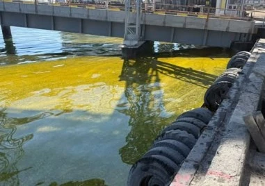 Над 6000 тона слънчогледово олио се разляха в Черно море