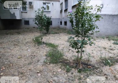 Специалисти с критика към кмета на Пловдив: Озеленяването се прави „на парче, липсват визия и контрол