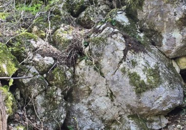 Унищожени са стотици силивряци над Горнослав! Местни подозират, че е заради кариерата