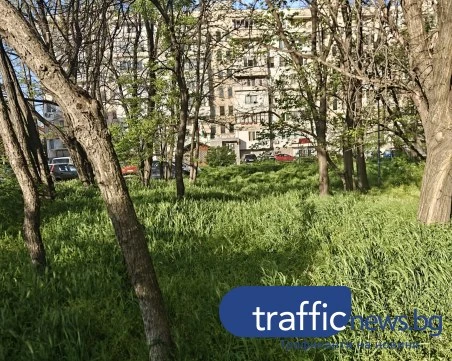 Из пловдивските джунгли: Кучета се губят сред треви, деца играят сред кърлежи