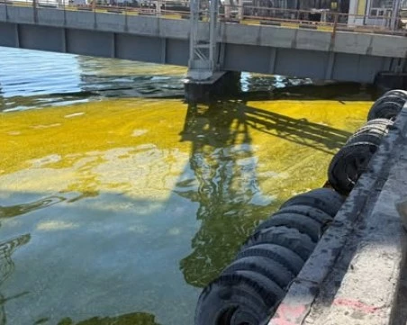 Над 6000 тона слънчогледово олио се разляха в Черно море