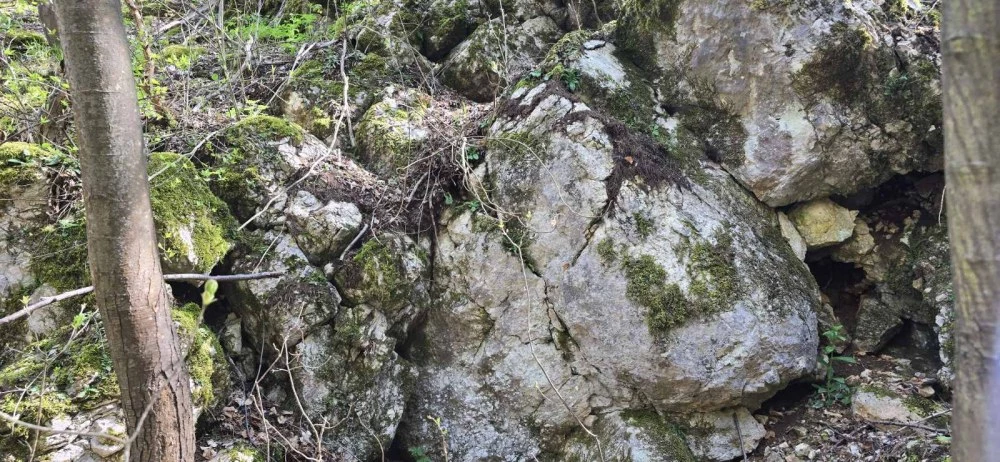 Унищожени са стотици силивряци над Горнослав! Местни подозират, че е заради кариерата