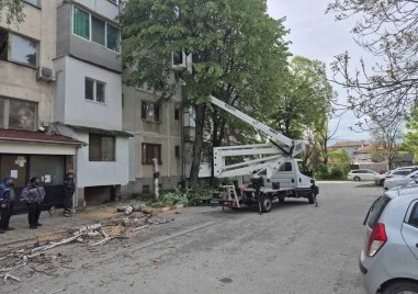 След натиск от жители: 20 опасни дървета падат в Коматево, Градини и паркове чисти стари заповеди