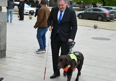 Историята на 241-ия депутат - кучето водач Роувър