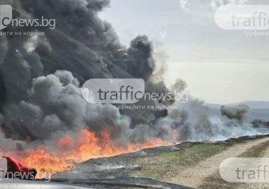 Зам.-министър Василев: Близо 90% от горските пожари са причинени от човешка дейност