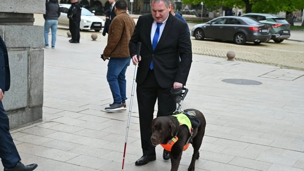 Историята на 241-ия депутат - кучето водач Роувър