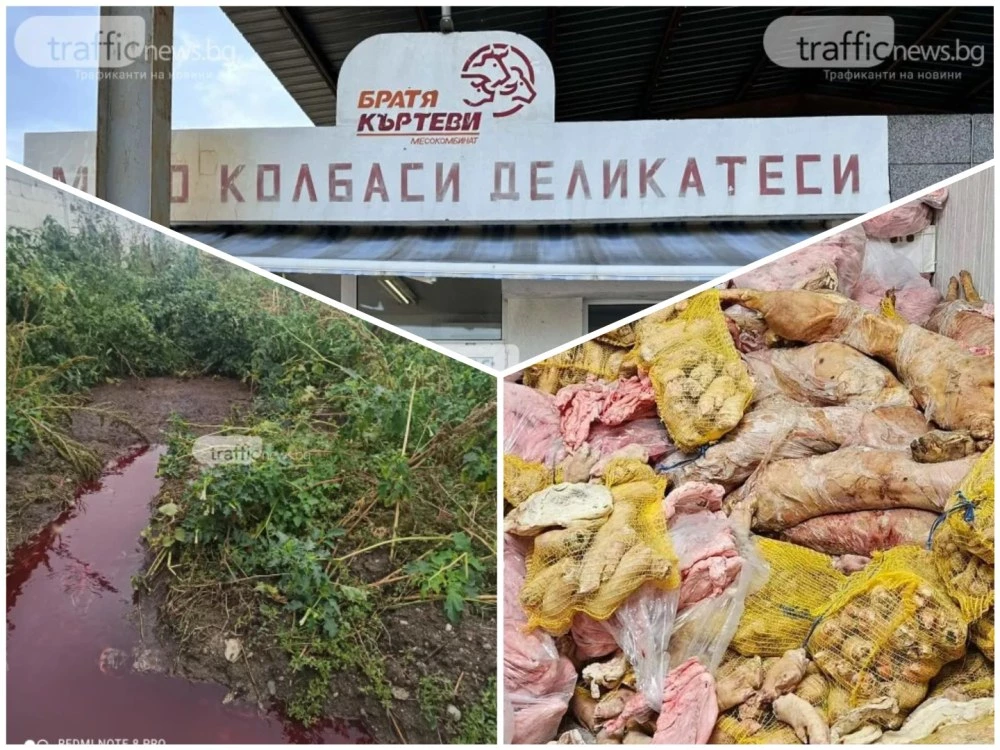 Вода отникъде, кръв навсякъде: Кланицата на Братя Къртеви е работила с незаконни сондажи и изтекли разрешителни