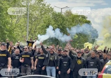 Леко напрежение на шествието на бултрасите ВИДЕО