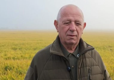 Отмъстиха на земеделец, разкрил злоупотреби с евросредства: Над 1400 декара пшеница са унищожени с дрон