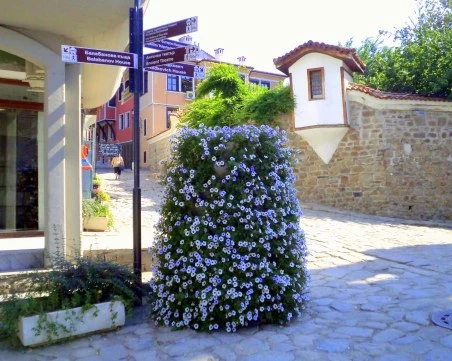 Ограничават движението по улица в Стария град за откриването на дефиле „Вино и гурме