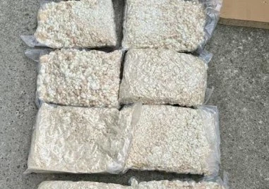 ГДБОП разби наркоканал към Турция, откриха дрога за половин милион евро в Свиленград