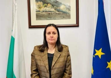 Освободиха началника на ДНСК