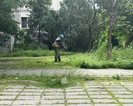 Община Пловдив: Косенето в Пловдив -  7 дни в седмицата от 8:00 до 22:30 ч.