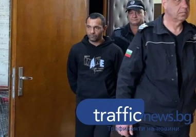 Мъж от Раковски получи близо 11 години затвор, след като строши черепа на брат си с тесла