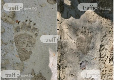 Започва обход и оглед на района около хижа Рудничар, където беше открито тялото на млад мъж