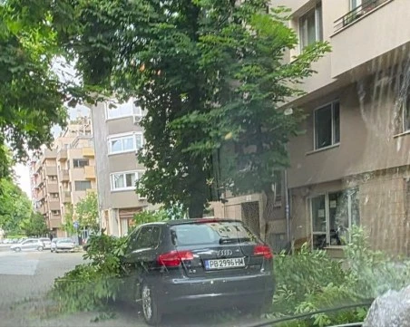 Буря удари Пловдив: Огромен клон падна върху автомобил в движение