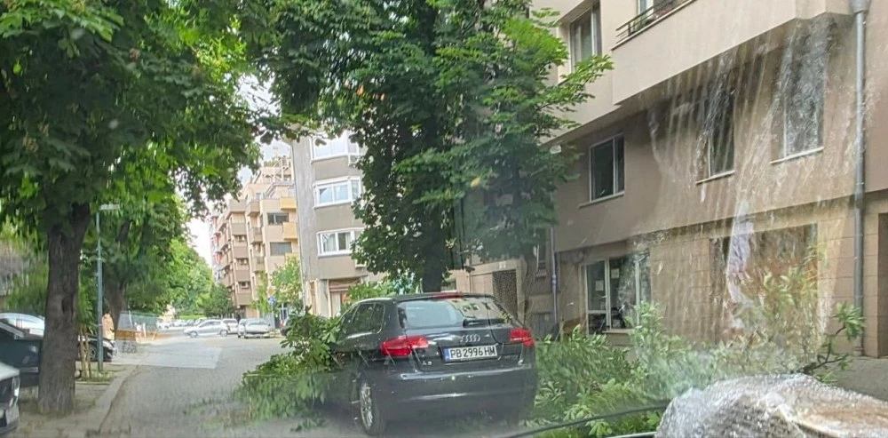 Буря удари Пловдив: Огромен клон падна върху автомобил в движение