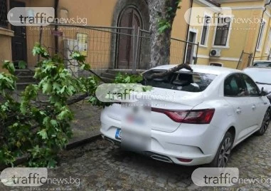 Клон строши стъклото на автомобил в центъра на Пловдив