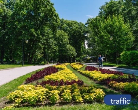 Слънце и летни температури до 26 градуса в Пловдив