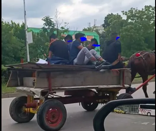 Петима с каруца шпорят из Пловдив, въпреки забраната