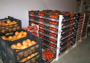 Цените на едро на повечето плодове, зеленчуци и основни хранителни продукти бележат спад