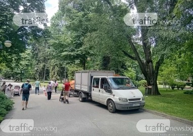 След инцидента с огромен клон в Цар-Симеоновата: „Градини и паркове с кризисна акция