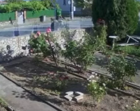Появи се видео от катастрофата с мотористка в Болярци