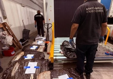Задържаха марихуана за близо 500 000 евро на ГКПП Гюешево