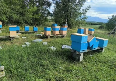 Градушка проливен дъжд и много силен вятър нанасят сериозни щети