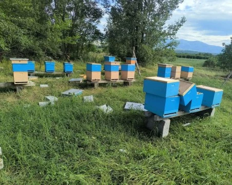 Бурята в Йоаким Груево съсипа близо 30 кошера на млади пчелари